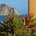 Dattilo (Panarea)